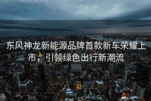 東風(fēng)神龍新能源品牌首款新車(chē)榮耀上市，引領(lǐng)綠色出行新潮流