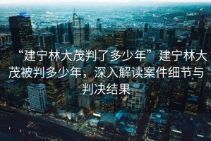 “建寧林大茂判了多少年”建寧林大茂被判多少年，深入解讀案件細節(jié)與判決結果