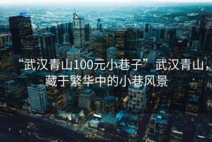 “武漢青山100元小巷子”武漢青山，藏于繁華中的小巷風(fēng)景
