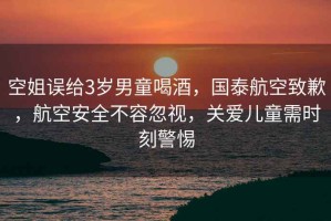 空姐誤給3歲男童喝酒，國泰航空致歉，航空安全不容忽視，關(guān)愛兒童需時刻警惕