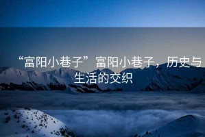 “富陽小巷子”富陽小巷子，歷史與生活的交織
