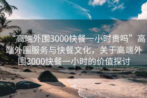 “高端外圍3000快餐一小時(shí)貴嗎”高端外圍服務(wù)與快餐文化，關(guān)于高端外圍3000快餐一小時(shí)的價(jià)值探討