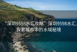 “深圳9598水匯攻略”深圳9598水匯，探索城市中的水域秘境