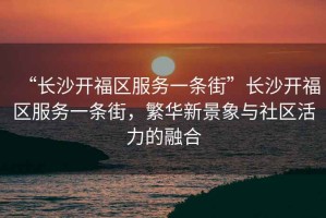 “長沙開福區(qū)服務(wù)一條街”長沙開福區(qū)服務(wù)一條街，繁華新景象與社區(qū)活力的融合