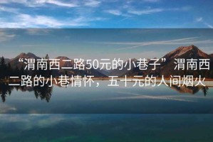 “渭南西二路50元的小巷子”渭南西二路的小巷情懷，五十元的人間煙火