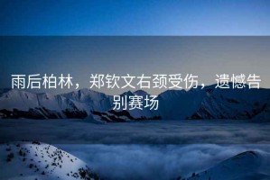 雨后柏林，鄭欽文右頸受傷，遺憾告別賽場
