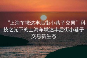 “上海車墩達豐后街小巷子交易”科技之光下的上海車墩達豐后街小巷子交易新生態(tài)