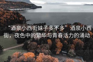 “酒泉小西街妹子多不多”酒泉小西街，夜色中的繁華與青春活力的涌動(dòng)