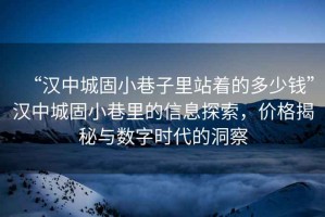 “漢中城固小巷子里站著的多少錢”漢中城固小巷里的信息探索，價(jià)格揭秘與數(shù)字時(shí)代的洞察