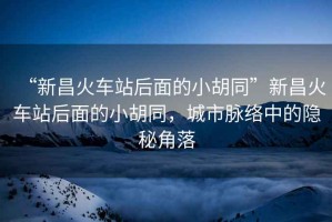 “新昌火車站后面的小胡同”新昌火車站后面的小胡同，城市脈絡(luò)中的隱秘角落