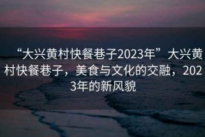 “大興黃村快餐巷子2023年”大興黃村快餐巷子，美食與文化的交融，2023年的新風(fēng)貌