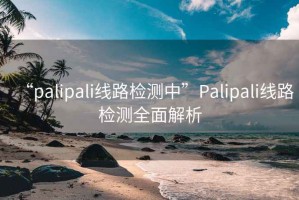 “palipali線路檢測中”Palipali線路檢測全面解析