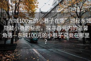 “東城100元的小巷子在哪”揭秘東城隱藏小巷的秘密，探尋百元內(nèi)的溫馨角落—東城100元的小巷子究竟在哪里？