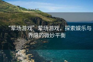 “葷場游戲”葷場游戲，探索娛樂與界限的微妙平衡