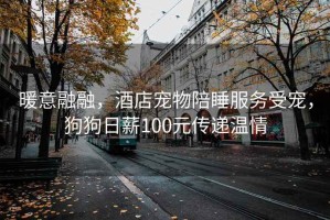 暖意融融，酒店寵物陪睡服務(wù)受寵，狗狗日薪100元傳遞溫情