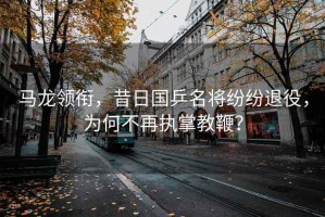 馬龍領(lǐng)銜，昔日國(guó)乒名將紛紛退役，為何不再執(zhí)掌教鞭？