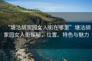 “塘沽胡家園女人街在哪里”塘沽胡家園女人街探秘，位置、特色與魅力