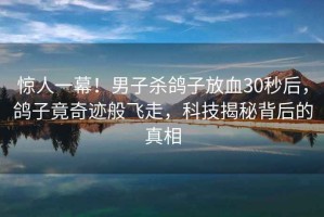 驚人一幕！男子殺鴿子放血30秒后，鴿子竟奇跡般飛走，科技揭秘背后的真相
