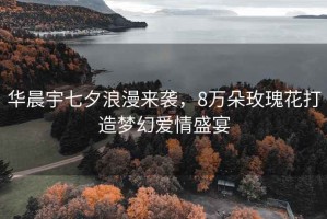 華晨宇七夕浪漫來襲，8萬朵玫瑰花打造夢幻愛情盛宴
