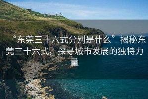 “東莞三十六式分別是什么”揭秘東莞三十六式，探尋城市發(fā)展的獨(dú)特力量