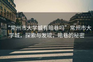 “常州市大學(xué)城有暗巷嗎”常州市大學(xué)城，探索與發(fā)現(xiàn)，暗巷的秘密