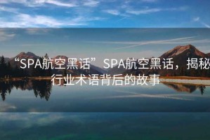 “SPA航空黑話”SPA航空黑話，揭秘行業(yè)術語背后的故事