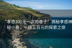 “孝感300元一次的巷子”揭秘孝感神秘小巷，一場三百元的探索之旅