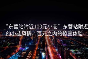 “東營站附近100元小巷”東營站附近的小巷風(fēng)情，百元之內(nèi)的驚喜體驗(yàn)