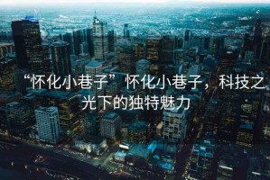 “懷化小巷子”懷化小巷子，科技之光下的獨特魅力