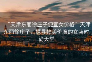 “天津東麗徐莊子便宜女價格”天津東麗徐莊子，探尋物美價廉的女裝時尚天堂
