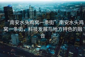 “南安水頭雞窩一條街”南安水頭雞窩一條街，科技發(fā)展與地方特色的融合