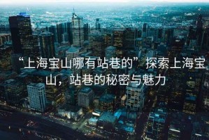 “上海寶山哪有站巷的”探索上海寶山，站巷的秘密與魅力