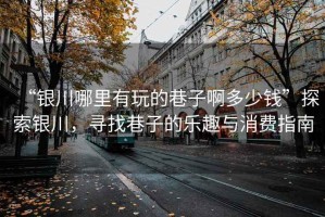 “銀川哪里有玩的巷子啊多少錢”探索銀川，尋找巷子的樂趣與消費(fèi)指南