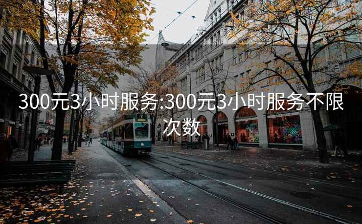 300元3小時(shí)服務(wù):300元3小時(shí)服務(wù)不限次數(shù)