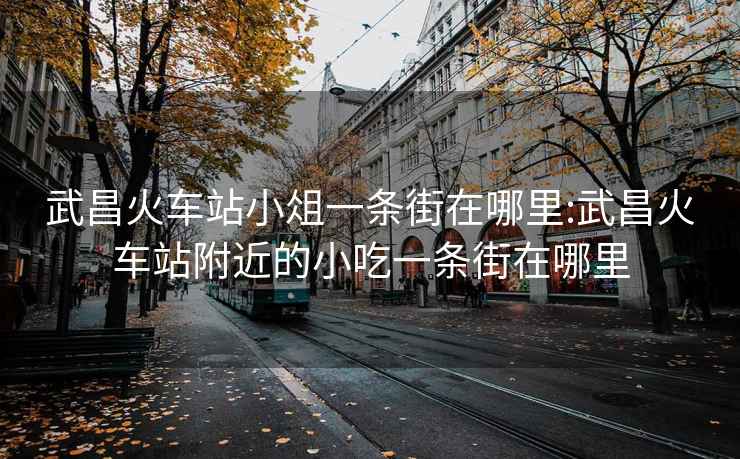 武昌火車站小俎一條街在哪里:武昌火車站附近的小吃一條街在哪里