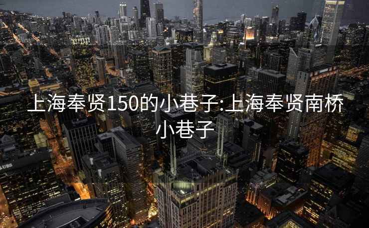 上海奉賢150的小巷子:上海奉賢南橋小巷子