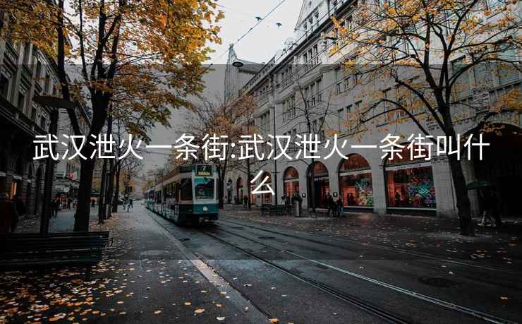 武漢泄火一條街:武漢泄火一條街叫什么