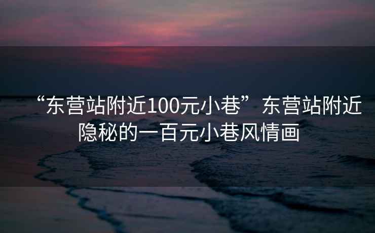 “東營站附近100元小巷”東營站附近隱秘的一百元小巷風情畫