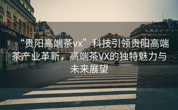 “貴陽(yáng)高端茶vx”科技引領(lǐng)貴陽(yáng)高端茶產(chǎn)業(yè)革新，高端茶VX的獨(dú)特魅力與未來(lái)展望