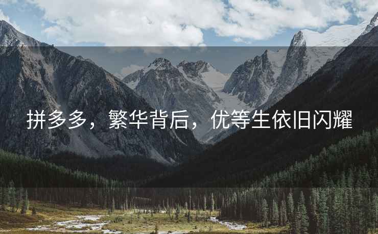 拼多多，繁華背后，優(yōu)等生依舊閃耀