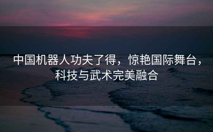 中國機器人功夫了得，驚艷國際舞臺，科技與武術完美融合