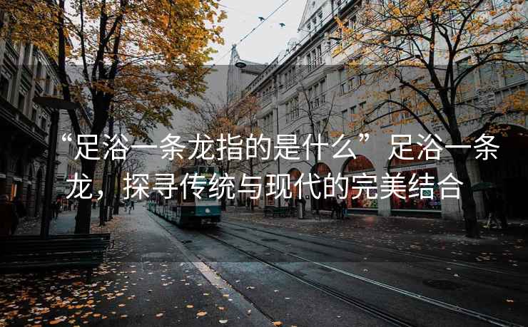 “足浴一條龍指的是什么”足浴一條龍，探尋傳統(tǒng)與現(xiàn)代的完美結(jié)合
