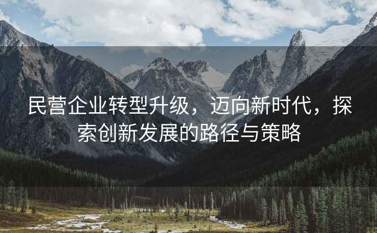 民營企業(yè)轉型升級，邁向新時代，探索創(chuàng)新發(fā)展的路徑與策略