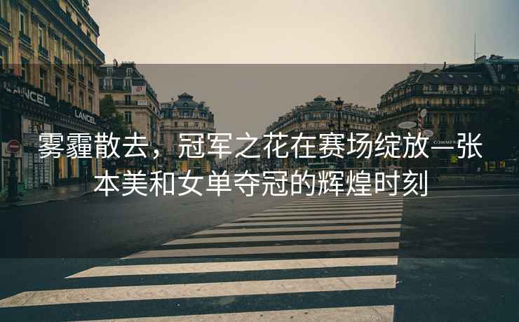 霧霾散去，冠軍之花在賽場(chǎng)綻放—張本美和女單奪冠的輝煌時(shí)刻
