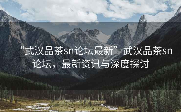 “武漢品茶sn論壇最新”武漢品茶sn論壇，最新資訊與深度探討