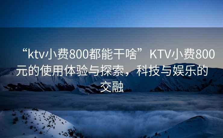 “ktv小費(fèi)800都能干啥”KTV小費(fèi)800元的使用體驗(yàn)與探索，科技與娛樂的交融