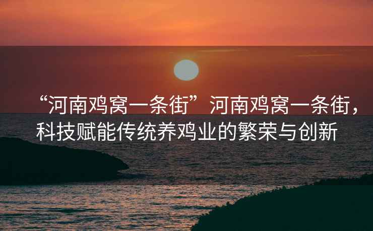 “河南雞窩一條街”河南雞窩一條街，科技賦能傳統(tǒng)養(yǎng)雞業(yè)的繁榮與創(chuàng)新