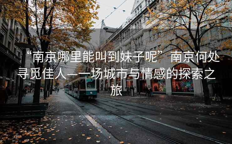 “南京哪里能叫到妹子呢”南京何處尋覓佳人—一場城市與情感的探索之旅