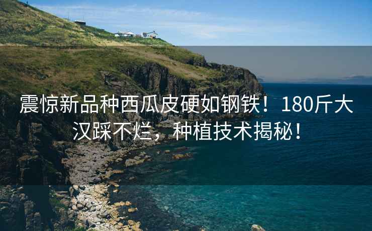 震驚新品種西瓜皮硬如鋼鐵！180斤大漢踩不爛，種植技術(shù)揭秘！