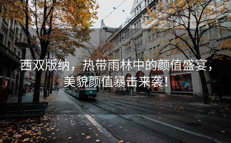 西雙版納，熱帶雨林中的顏值盛宴，美貌顏值暴擊來襲！